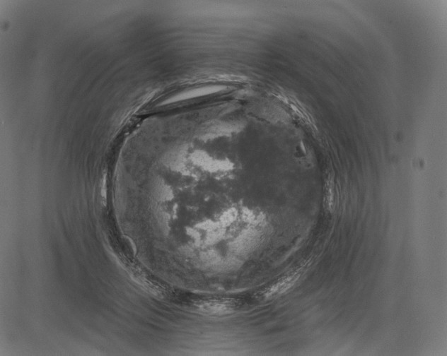 X0000084530358200703091634