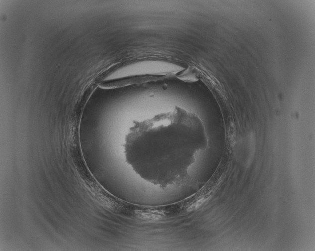 X0000084530359200703091634