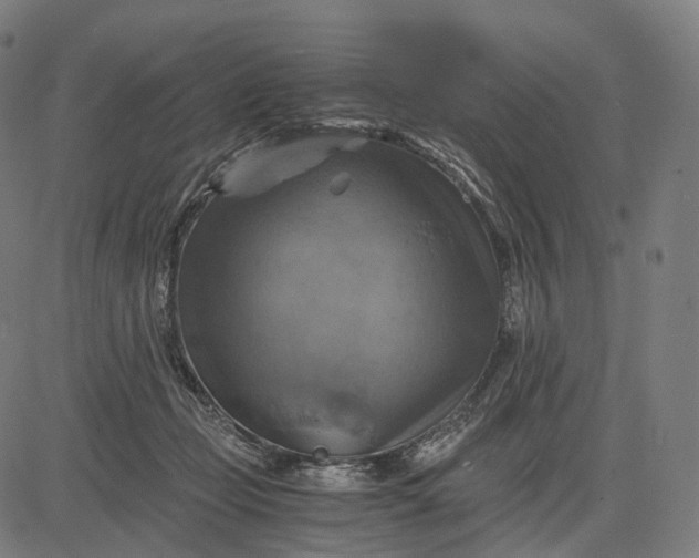 X0000084530365200703091634