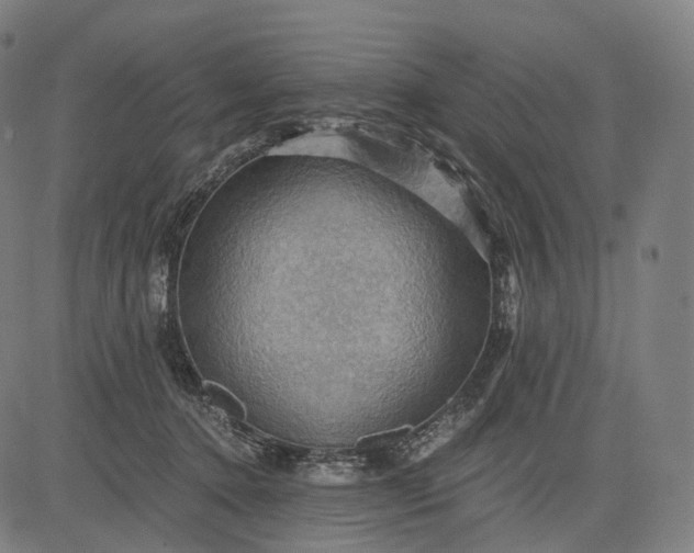 X0000084530368200703091634