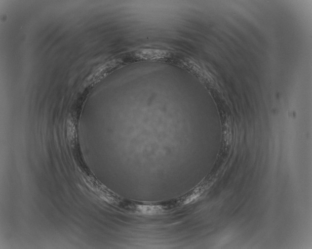 X0000084530371200703091634