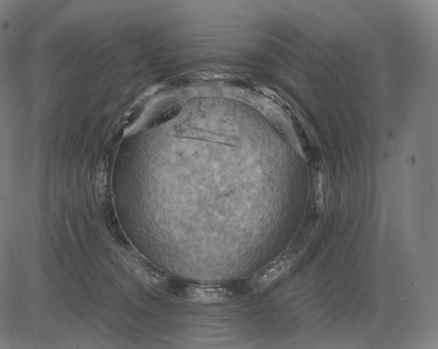 X0000084530372200703091634