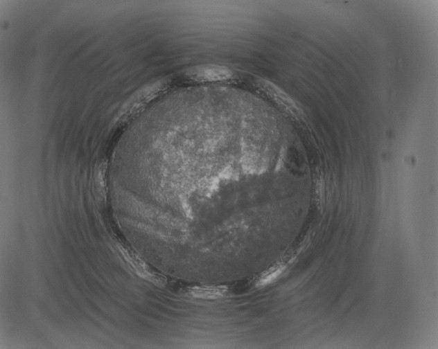 X0000084530373200703091634