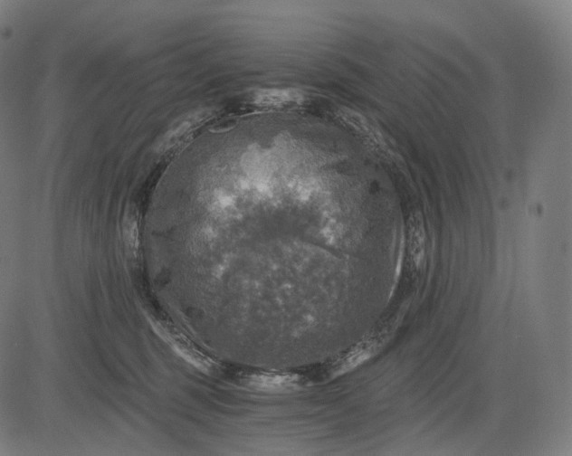 X0000084530375200703091634