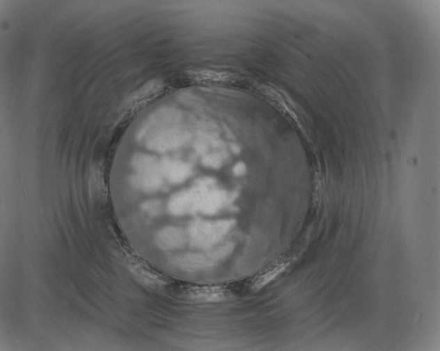 X0000084530377200703091634