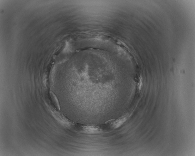 X0000084530380200703091634