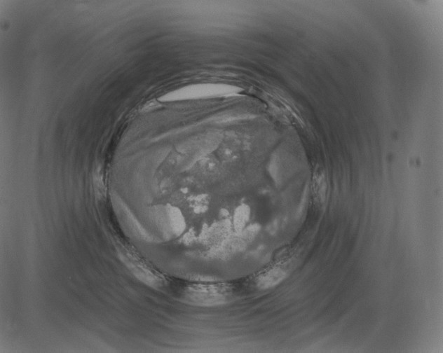 X0000084530381200703091634