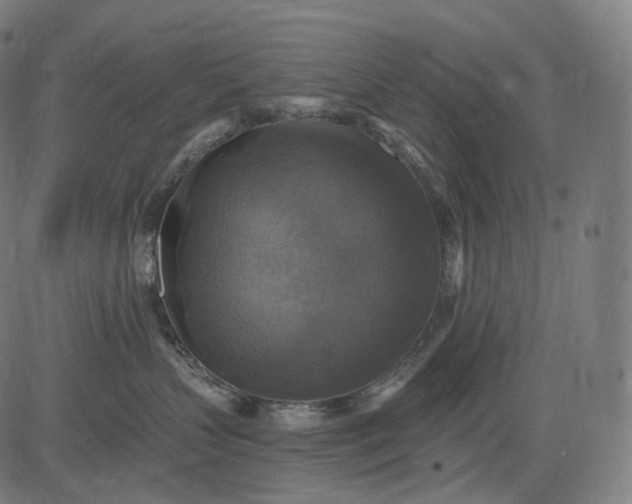 X0000084530383200703091634