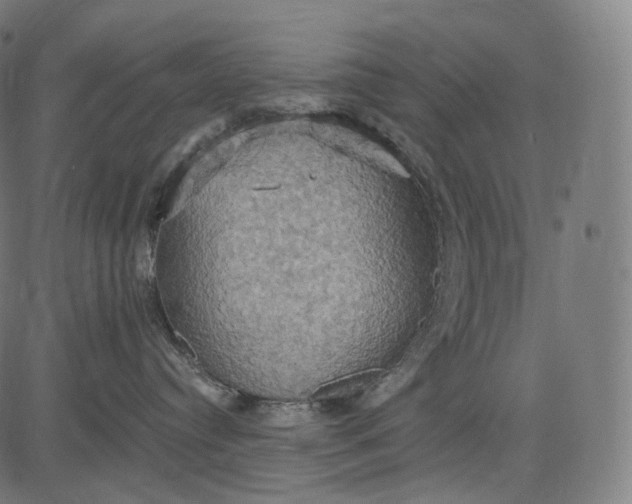 X0000084530384200703091634