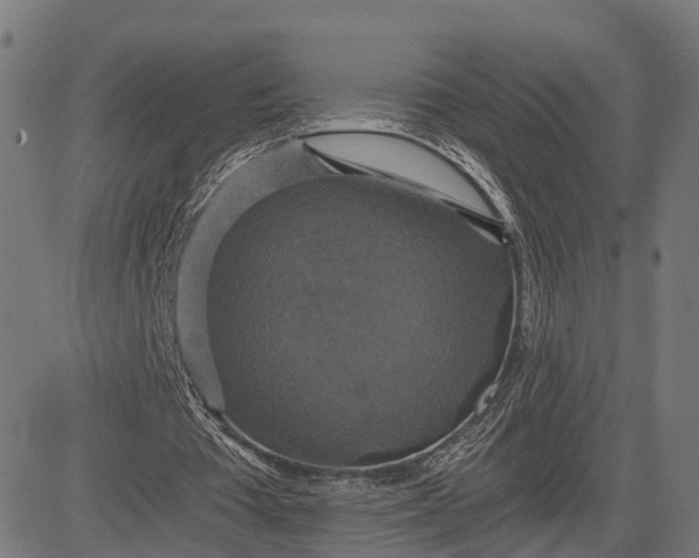 X0000084530385200703091633