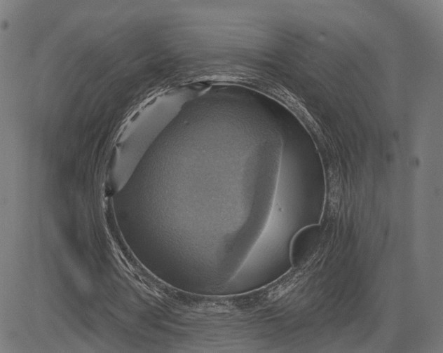 X0000084530386200703091633