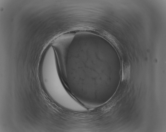 X0000084530387200703091633