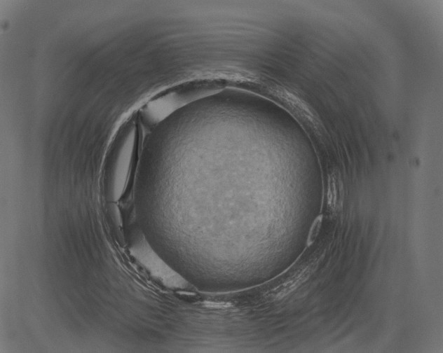 X0000084530388200703091633