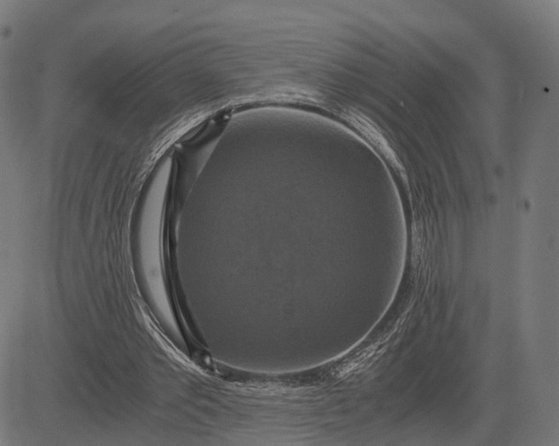 X0000084530389200703091633