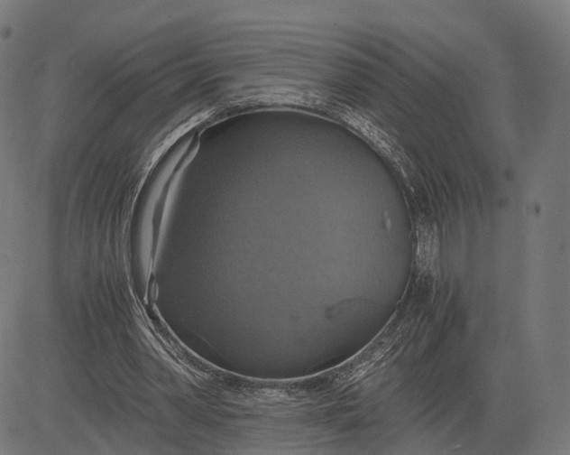 X0000084530390200703091633