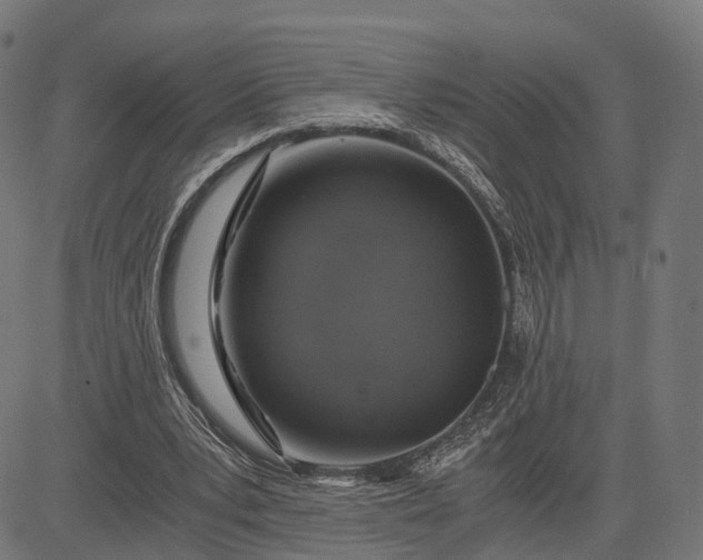 X0000084530391200703091633