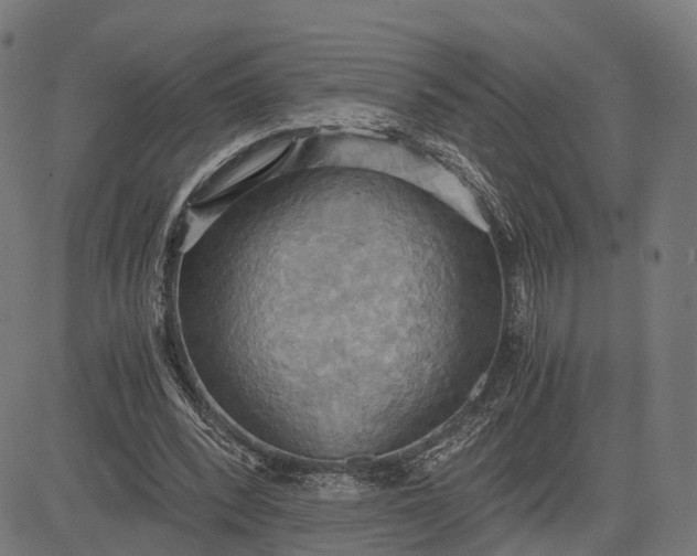 X0000084530392200703091633