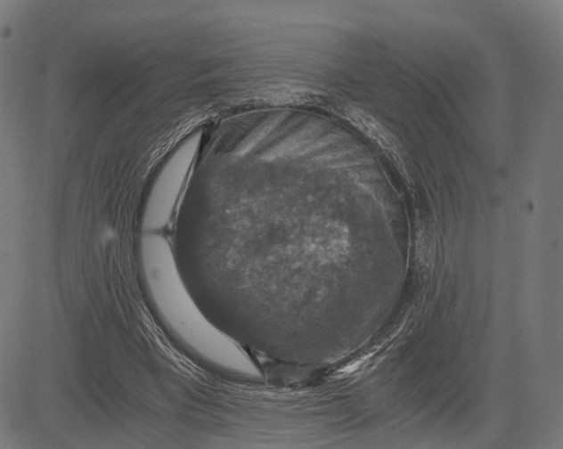 X0000084530393200703091633