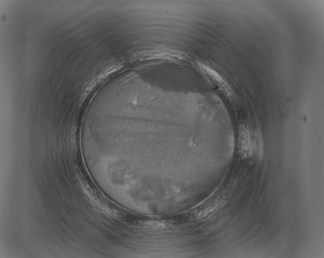 X0000084530394200703091633