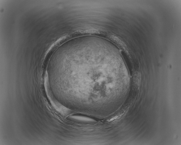 X0000084530395200703091633