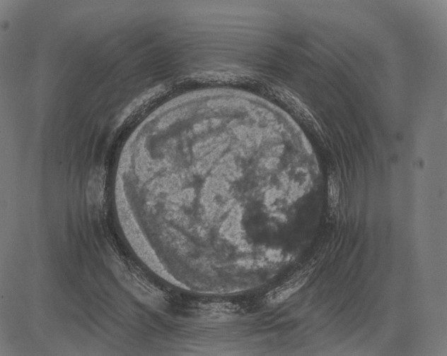 X0000084530396200703091633