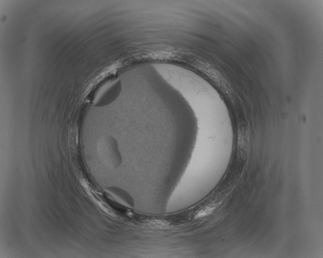 X0000084530397200703091633