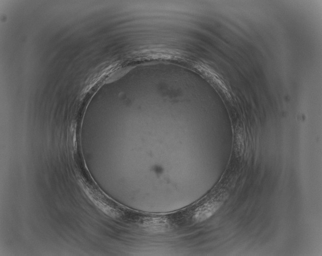 X0000084530398200703091633