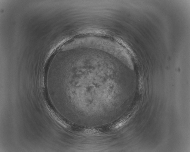 X0000084530399200703091633