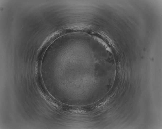 X0000084530400200703091633