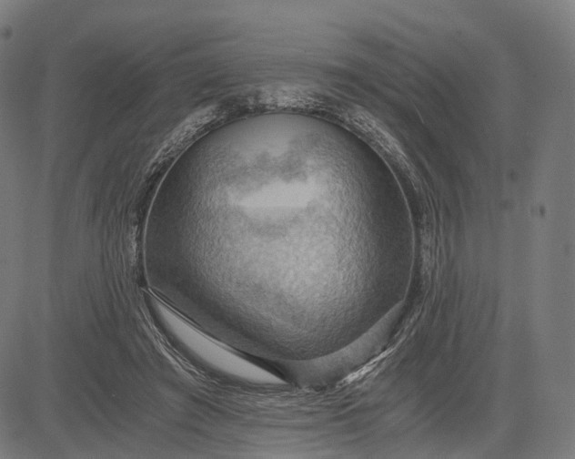 X0000084530401200703091633