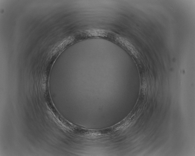 X0000084530402200703091633