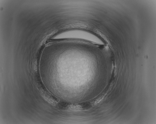 X0000084530403200703091633