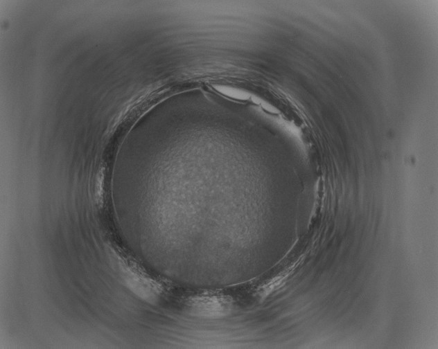 X0000084530404200703091633