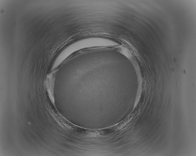 X0000084530405200703091633