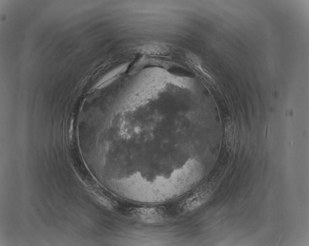 X0000084530406200703091633