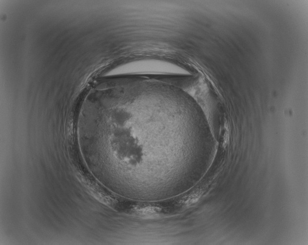 X0000084530407200703091633