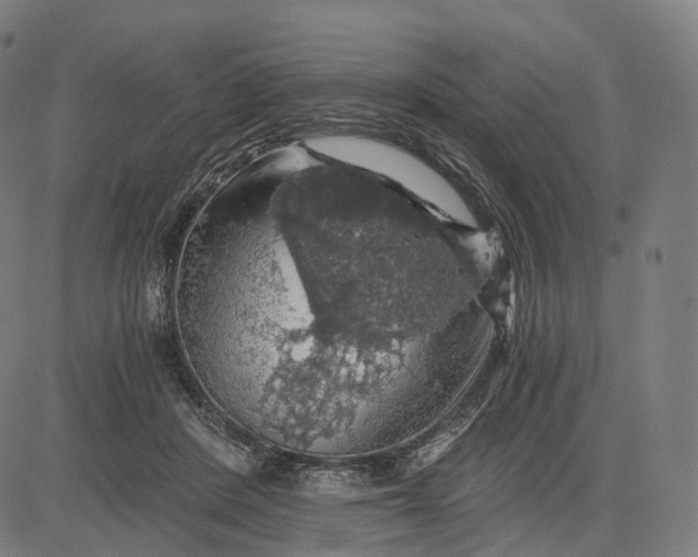 X0000084530408200703091633