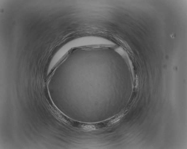 X0000084530409200703091633