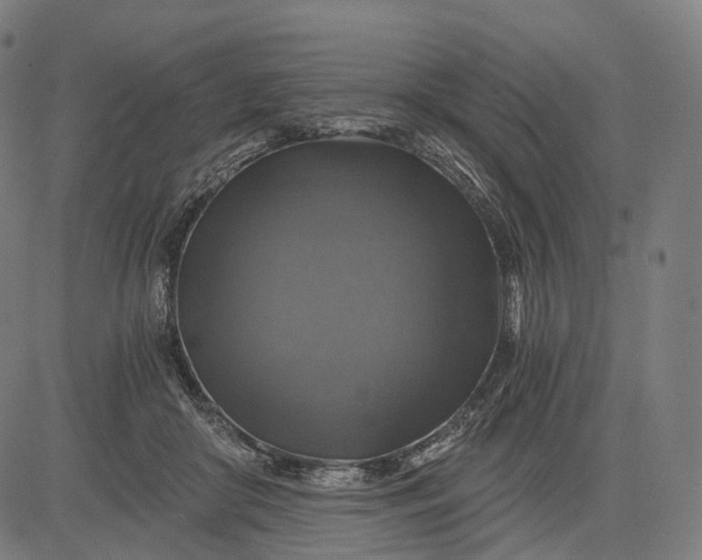 X0000084530410200703091633