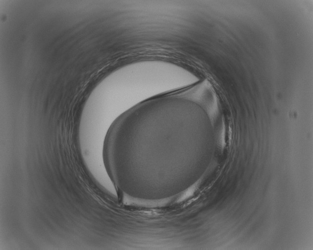 X0000084530411200703091633