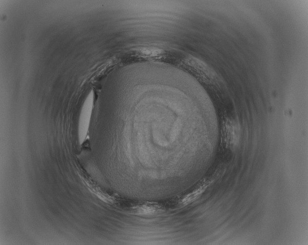 X0000084530412200703091633