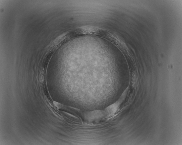 X0000084530413200703091633