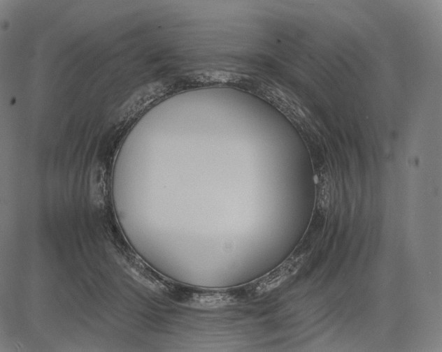 X0000084530414200703091633