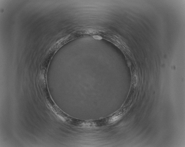 X0000084530415200703091633