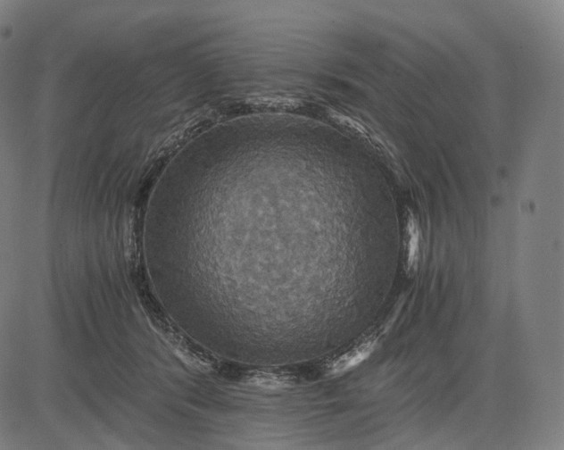 X0000084530416200703091633