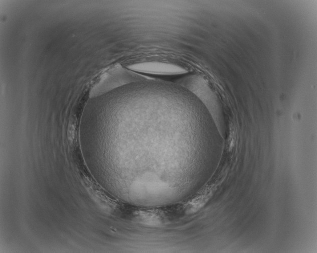 X0000084530417200703091633