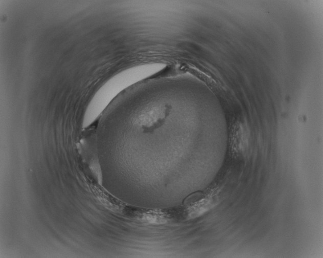 X0000084530420200703091633