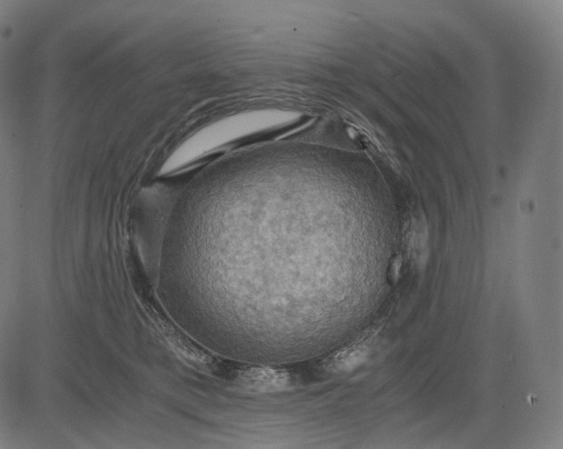 X0000084530421200703091633