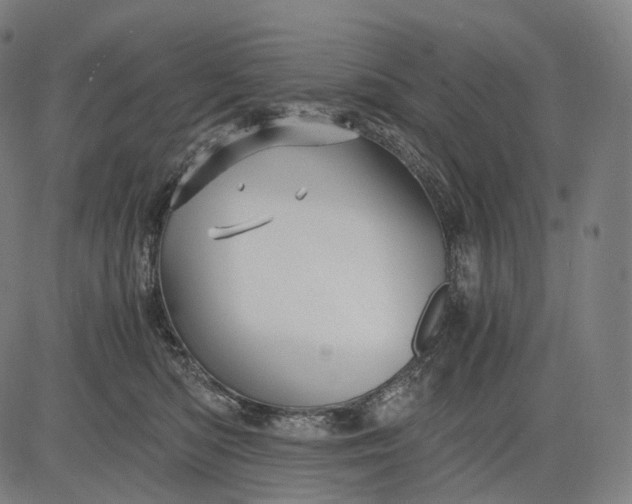 X0000084530422200703091633