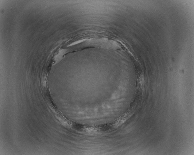 X0000084530423200703091633